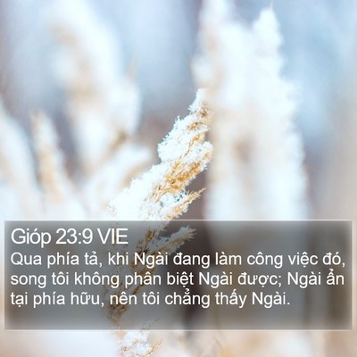 Gióp 23:9 VIE Bible Verse Image