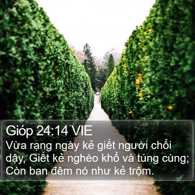 Gióp 24:14 VIE Bible Verse Image