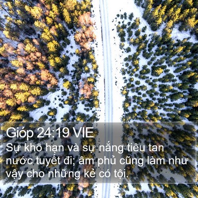 Gióp 24:19 VIE Bible Verse Image