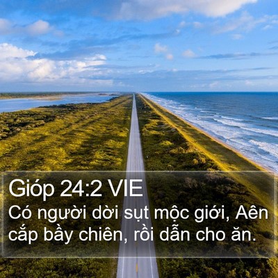 Gióp 24:2 VIE Bible Verse Image