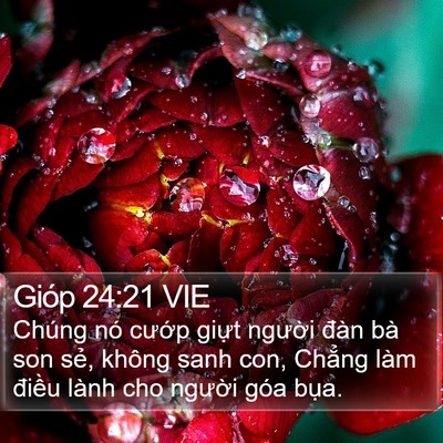 Gióp 24:21 VIE Bible Verse Image