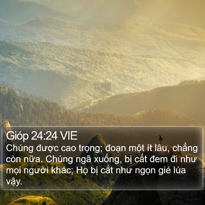 Gióp 24:24 VIE Bible Verse Image