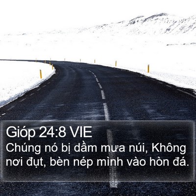Gióp 24:8 VIE Bible Verse Image
