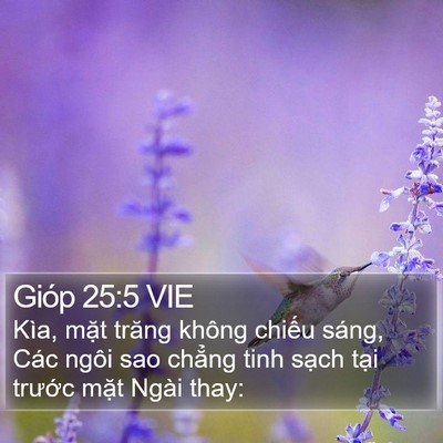 Gióp 25:5 VIE Bible Verse Image