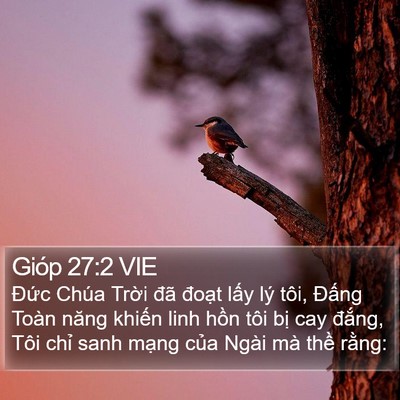Gióp 27:2 VIE Bible Verse Image