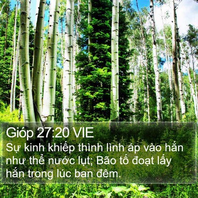 Gióp 27:20 VIE Bible Verse Image