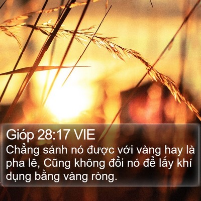 Gióp 28:17 VIE Bible Verse Image