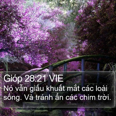Gióp 28:21 VIE Bible Verse Image