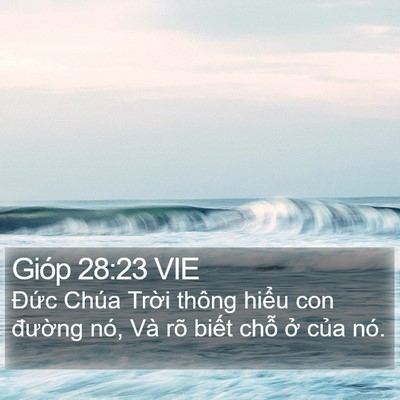 Gióp 28:23 VIE Bible Verse Image
