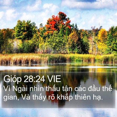 Gióp 28:24 VIE Bible Verse Image