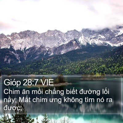 Gióp 28:7 VIE Bible Verse Image