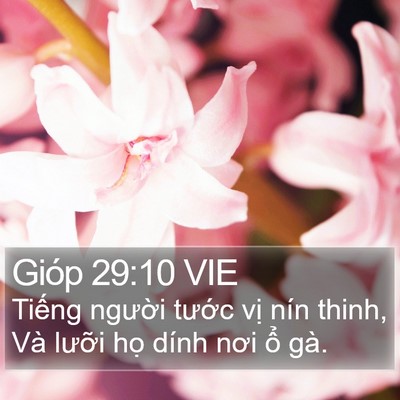 Gióp 29:10 VIE Bible Verse Image