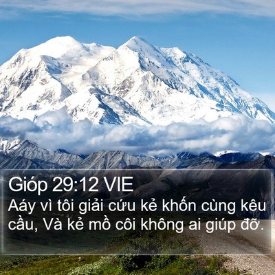 Gióp 29:12 VIE Bible Verse Image