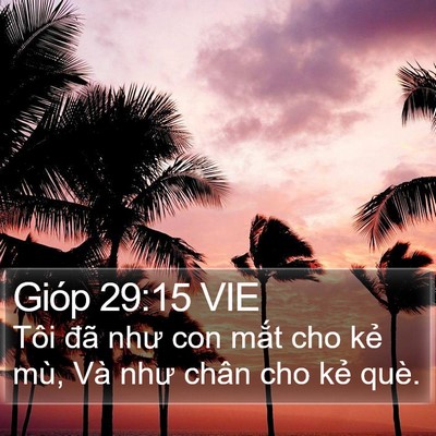 Gióp 29:15 VIE Bible Verse Image