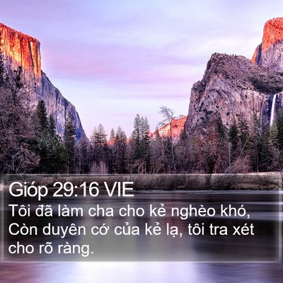 Gióp 29:16 VIE Bible Verse Image