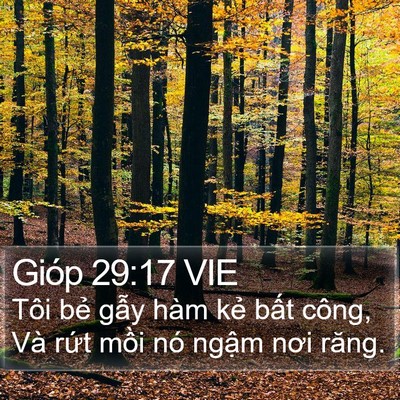 Gióp 29:17 VIE Bible Verse Image