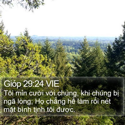 Gióp 29:24 VIE Bible Verse Image