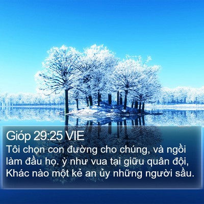 Gióp 29:25 VIE Bible Verse Image