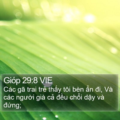 Gióp 29:8 VIE Bible Verse Image