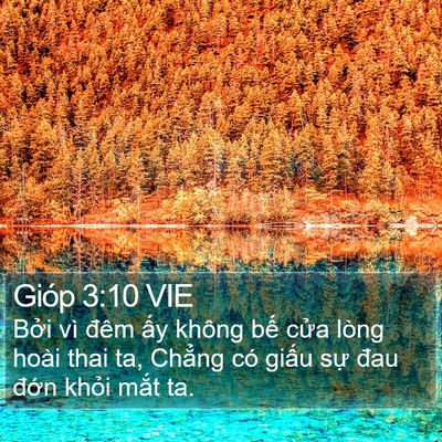Gióp 3:10 VIE Bible Verse Image