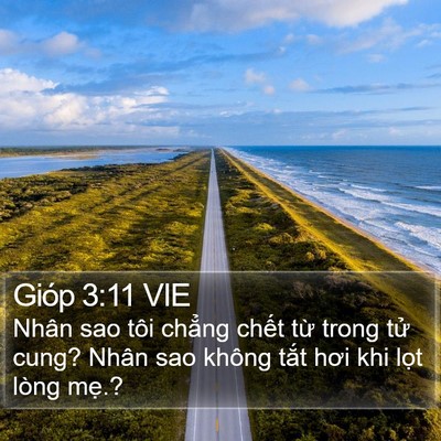 Gióp 3:11 VIE Bible Verse Image