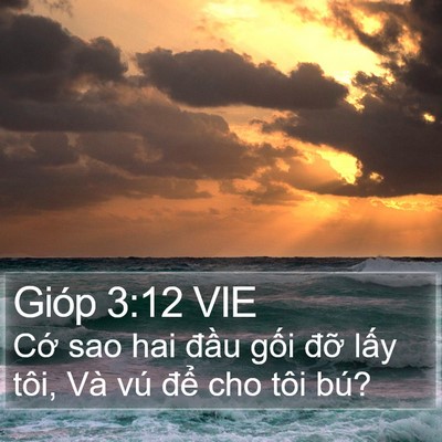 Gióp 3:12 VIE Bible Verse Image
