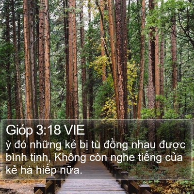 Gióp 3:18 VIE Bible Verse Image