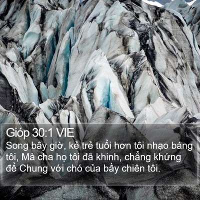 Gióp 30:1 VIE Bible Verse Image