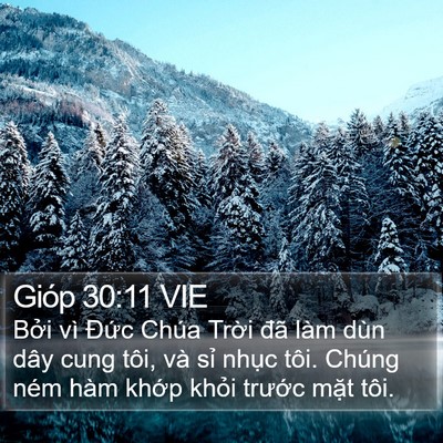 Gióp 30:11 VIE Bible Verse Image