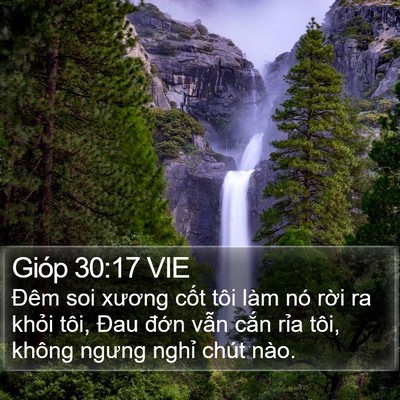 Gióp 30:17 VIE Bible Verse Image