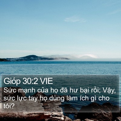 Gióp 30:2 VIE Bible Verse Image