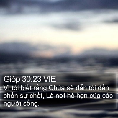 Gióp 30:23 VIE Bible Verse Image