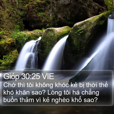 Gióp 30:25 VIE Bible Verse Image