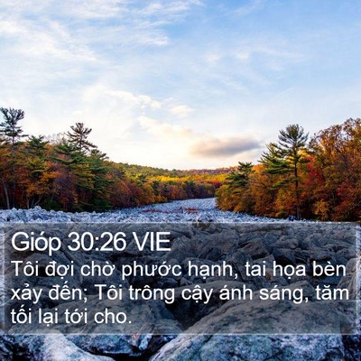 Gióp 30:26 VIE Bible Verse Image