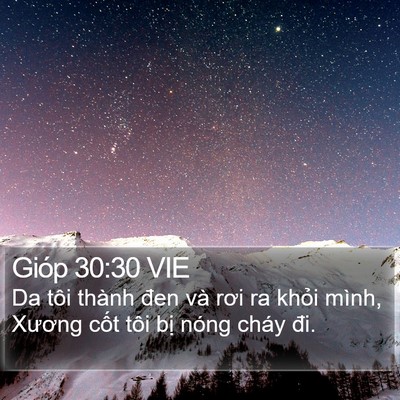 Gióp 30:30 VIE Bible Verse Image