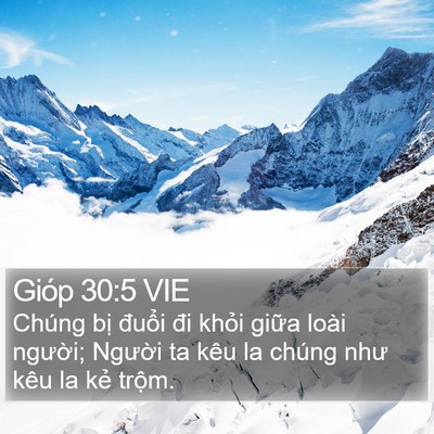 Gióp 30:5 VIE Bible Verse Image