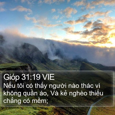 Gióp 31:19 VIE Bible Verse Image