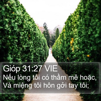 Gióp 31:27 VIE Bible Verse Image