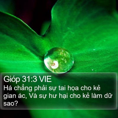 Gióp 31:3 VIE Bible Verse Image