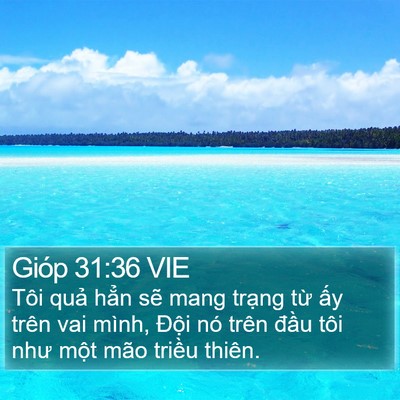 Gióp 31:36 VIE Bible Verse Image