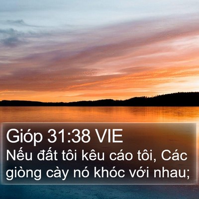 Gióp 31:38 VIE Bible Verse Image