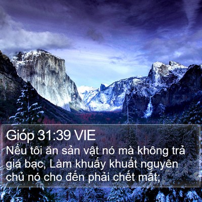 Gióp 31:39 VIE Bible Verse Image
