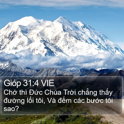 Gióp 31:4 VIE Bible Verse Image