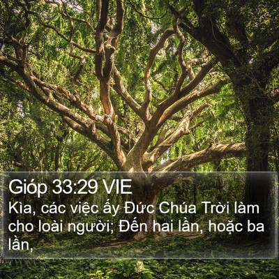 Gióp 33:29 VIE Bible Verse Image