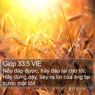 Gióp 33:5 VIE Bible Verse Image