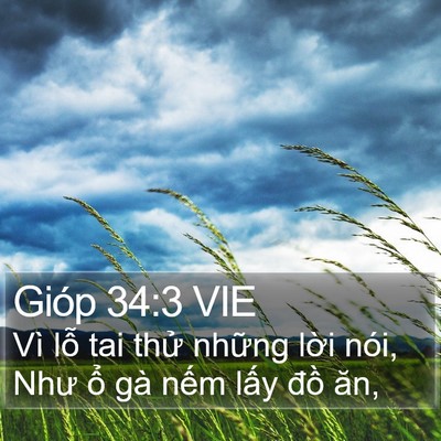 Gióp 34:3 VIE Bible Verse Image