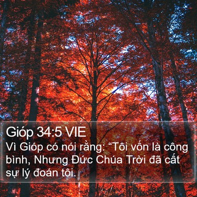 Gióp 34:5 VIE Bible Verse Image