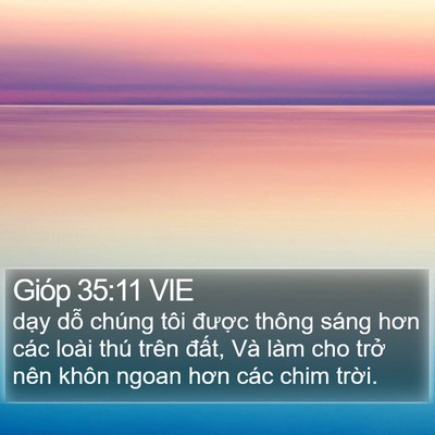 Gióp 35:11 VIE Bible Verse Image