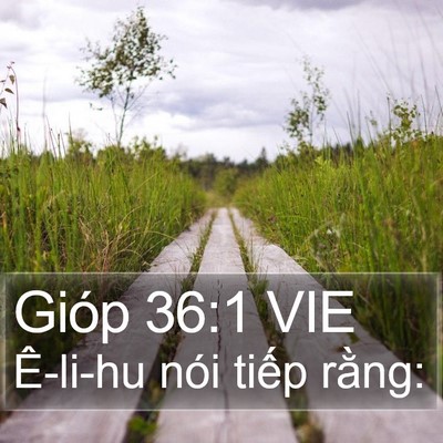 Gióp 36:1 VIE Bible Verse Image
