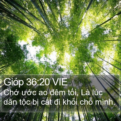 Gióp 36:20 VIE Bible Verse Image